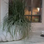 Zur Alten Post Vendégház