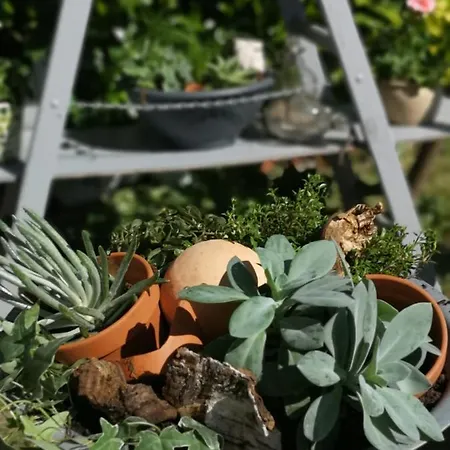 Pensjonat Zur Alten Post 3*