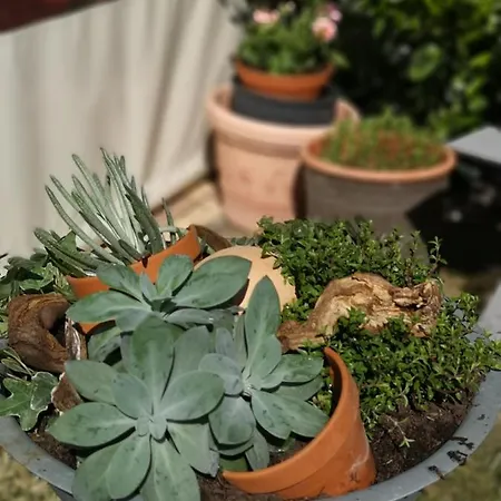 Zur Alten Post Havelberg