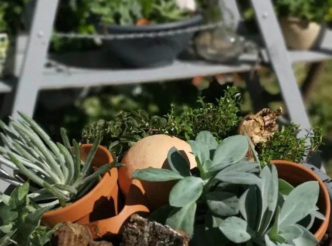 Pensionat Zur Alten Post 3*