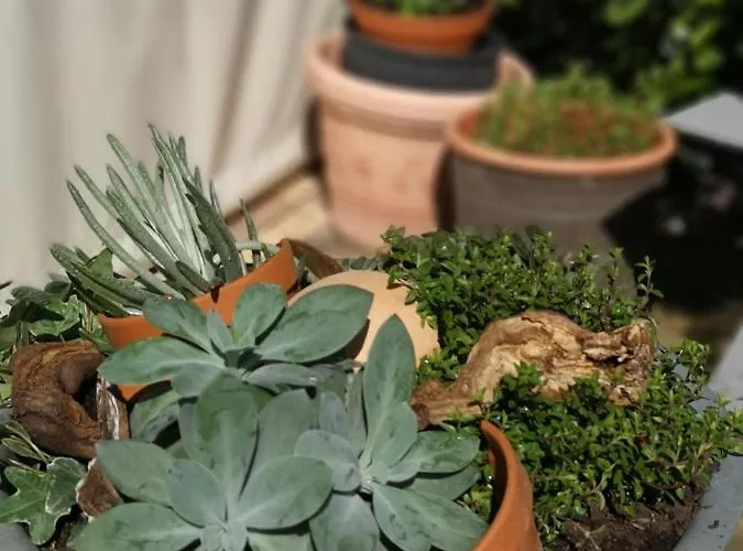 Zur Alten Post Havelberg