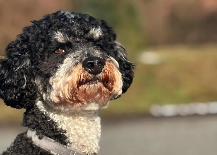 Zur Alten Post Maison d'hôtes 3*